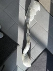 Brand New Catalytic Front Pipe & Converter, Left - Mopar (68281725AA). Price: $1650.00.