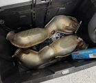 2X Mclaren 720S Oem Downpipes/catalytic Converter Used. Price: $1100.00.