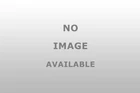 Global Emiss Gesi 0051 Detroit DD13 DD15 New. Price: $148.81.
