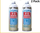 Berryman 0116 B-12 Chemtool Carburetor, Fuel System & Injector Cleaner, Pack. New. Price: $19.49.
