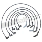 Walker Products 924-1940 Spark Plug Wire Set For 01-05 B3000 F-100 Ranger New. Price: $42.01.